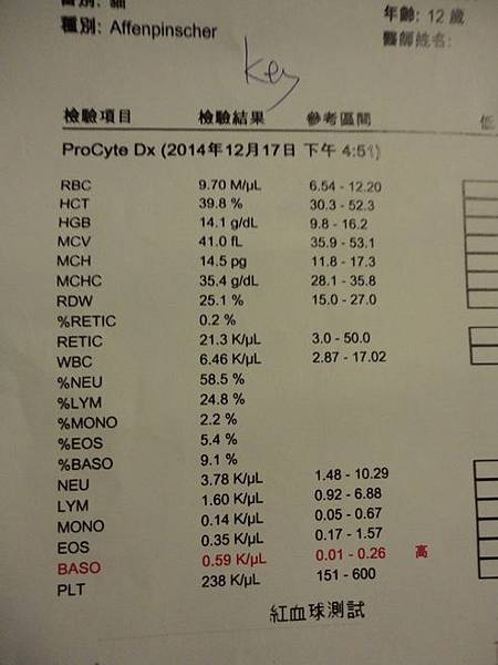 103.12.17茉莉健檢-脾臟長5顆東西