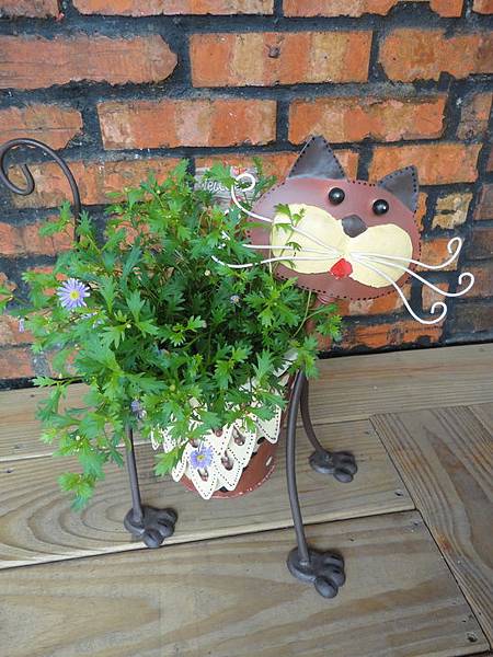 DSC08438.jpg DSC08438.jpg