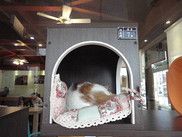 DSC08447.JPG DSC08447.JPG