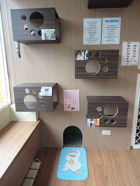 DSC08445.jpg DSC08445.jpg