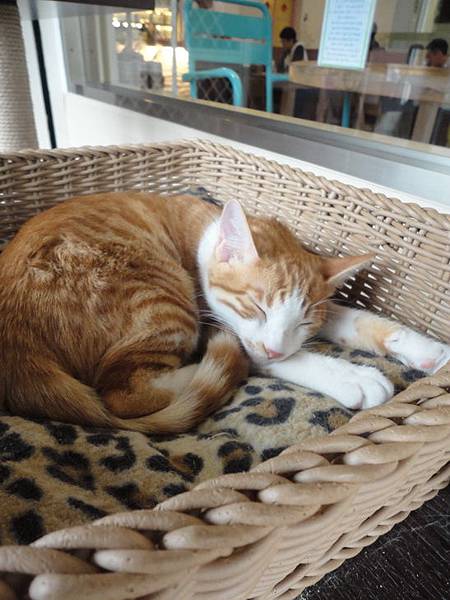 DSC08448.jpg DSC08448.jpg