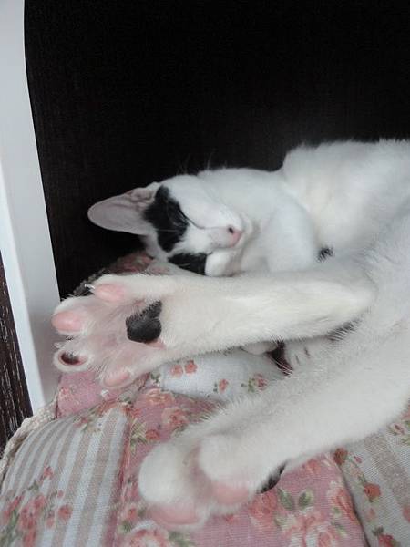 DSC08450.jpg DSC08450.jpg