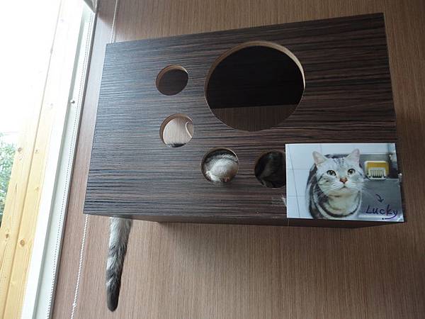 DSC08456.JPG DSC08456.JPG