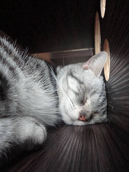 DSC08455.jpg DSC08455.jpg