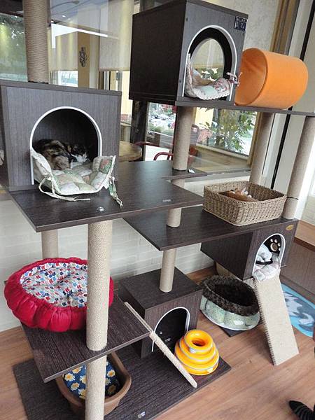 DSC08457.jpg DSC08457.jpg