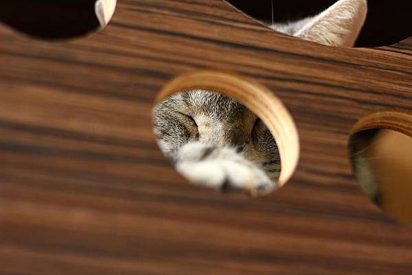 IMG_5055.JPG IMG_5055.JPG