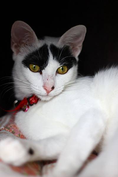 IMG_5060.jpg IMG_5060.jpg