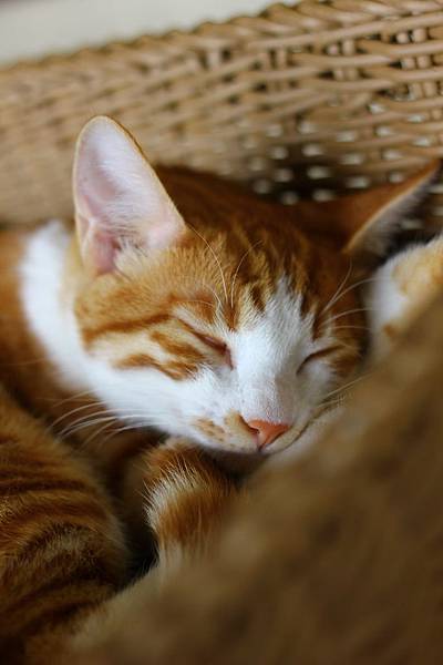 IMG_5057.jpg IMG_5057.jpg