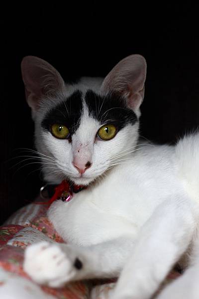 IMG_5059.jpg IMG_5059.jpg