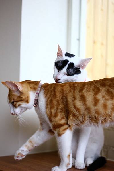 IMG_5062.jpg IMG_5062.jpg