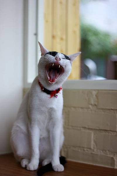 IMG_5065.jpg IMG_5065.jpg