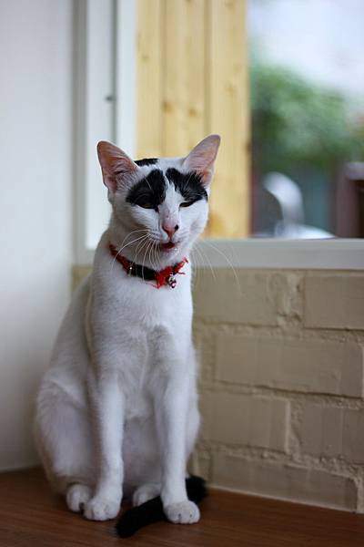 IMG_5063.jpg IMG_5063.jpg