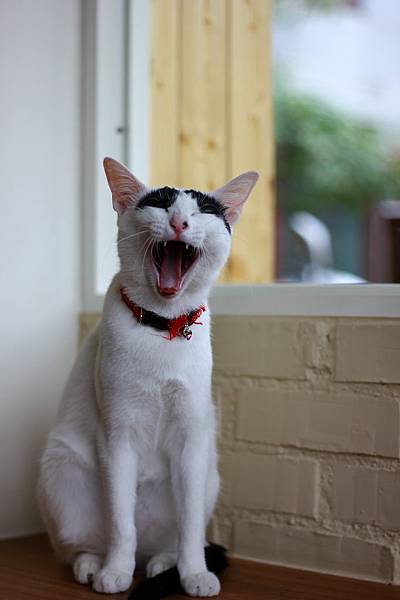 IMG_5064.jpg IMG_5064.jpg