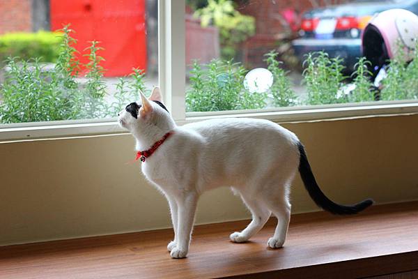 IMG_5073.JPG IMG_5073.JPG