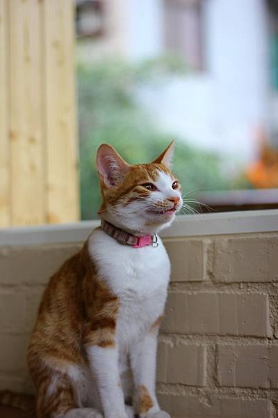 IMG_5068.jpg IMG_5068.jpg