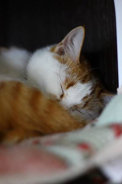 IMG_5069.jpg IMG_5069.jpg