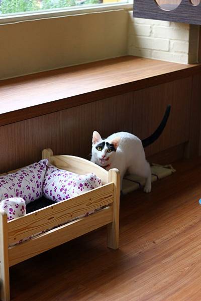 IMG_5071.jpg IMG_5071.jpg