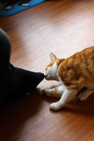 IMG_5074.jpg IMG_5074.jpg