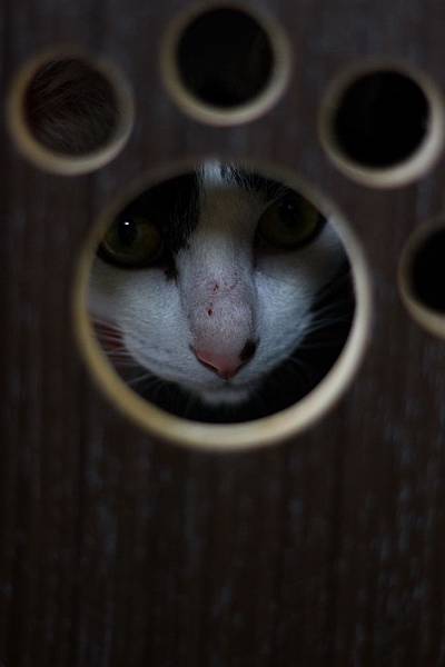 IMG_5076.jpg IMG_5076.jpg