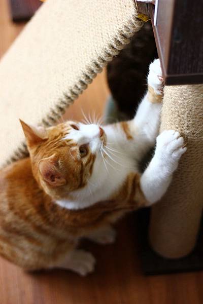 IMG_5080.jpg IMG_5080.jpg