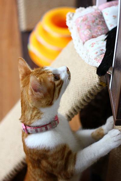 IMG_5078.jpg IMG_5078.jpg