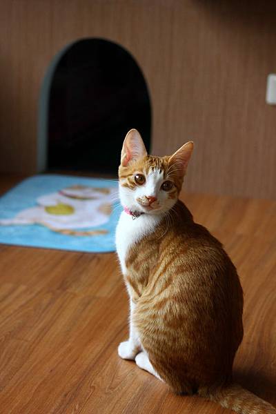 IMG_5082.jpg IMG_5082.jpg