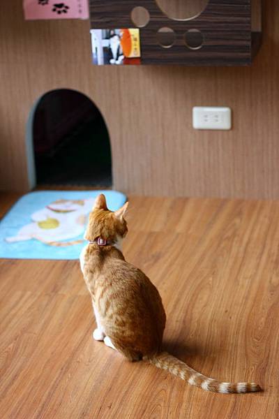 IMG_5081.jpg IMG_5081.jpg