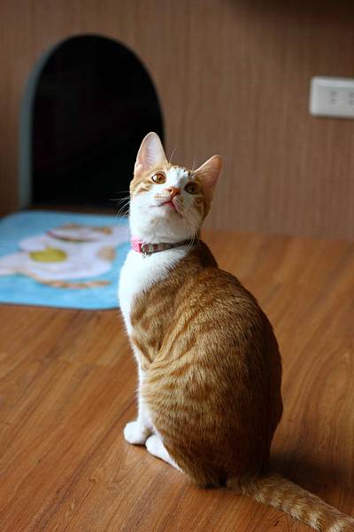 IMG_5083.jpg IMG_5083.jpg