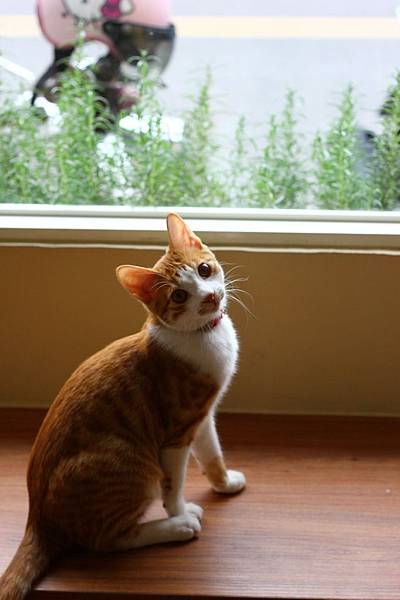 IMG_5085.jpg IMG_5085.jpg