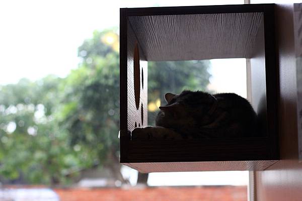 IMG_5087.JPG IMG_5087.JPG