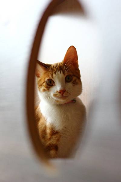 IMG_5092.jpg IMG_5092.jpg