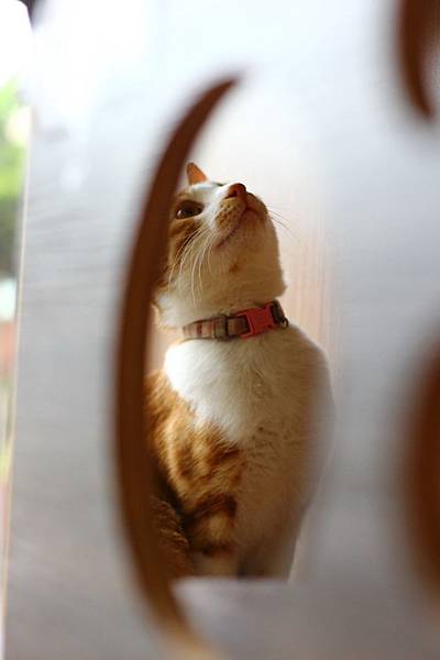 IMG_5090.jpg IMG_5090.jpg