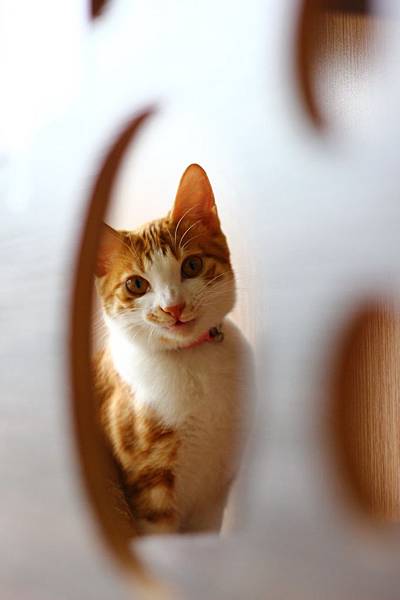 IMG_5089.jpg IMG_5089.jpg