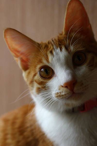 IMG_5093.jpg IMG_5093.jpg