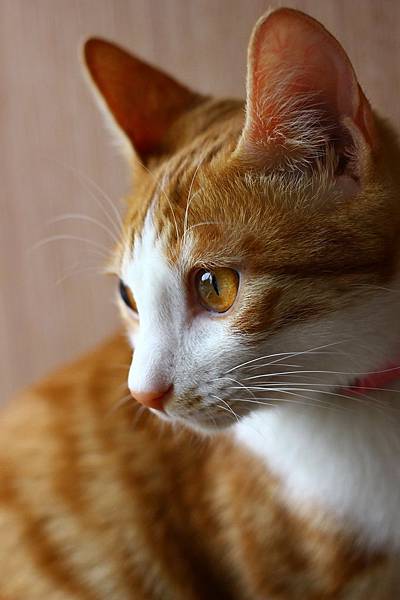 IMG_5094.jpg IMG_5094.jpg