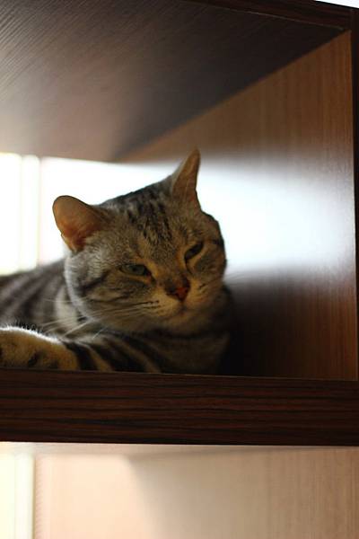 IMG_5099.jpg IMG_5099.jpg