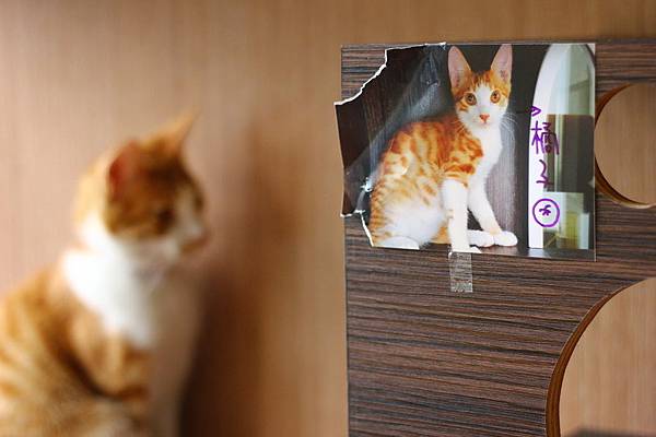 IMG_5097.JPG IMG_5097.JPG