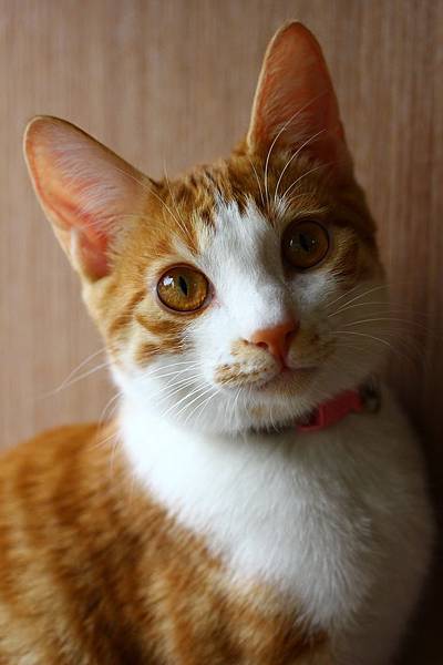 IMG_5095.jpg IMG_5095.jpg