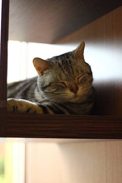 IMG_5100.jpg IMG_5100.jpg