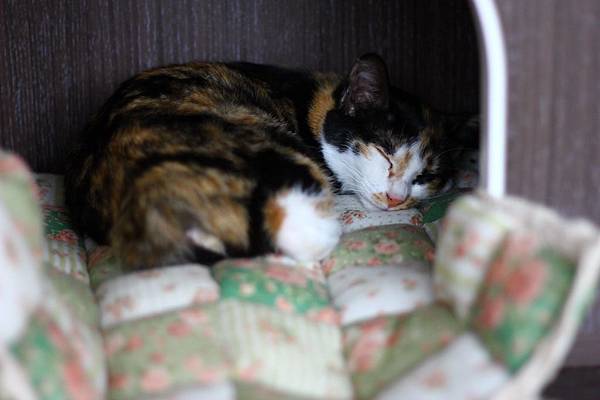 IMG_5104.JPG IMG_5104.JPG