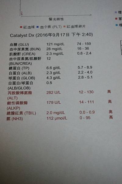 105.9.17小雪術前血檢