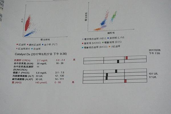 106.09.27小雪抽血檢查發現腎指數變高