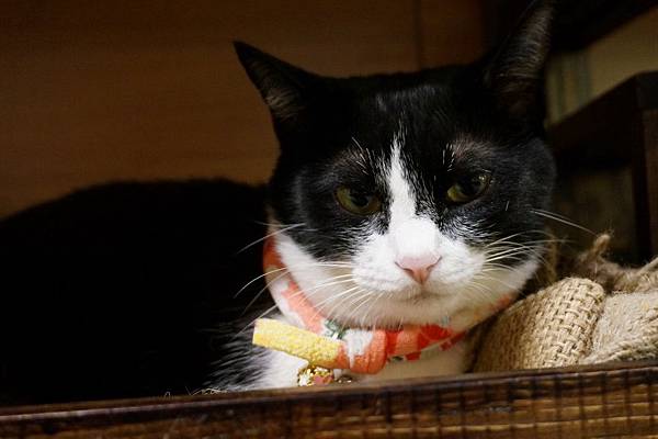 DSC09552.JPG DSC09552.JPG