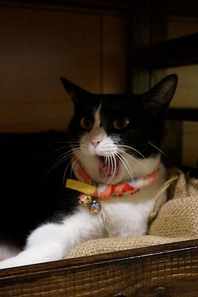 DSC09551.jpg DSC09551.jpg