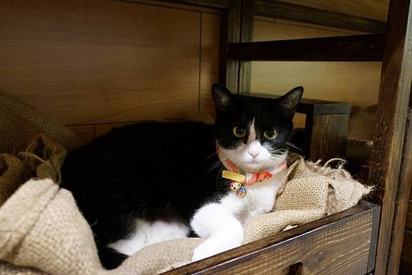 DSC09550.JPG DSC09550.JPG