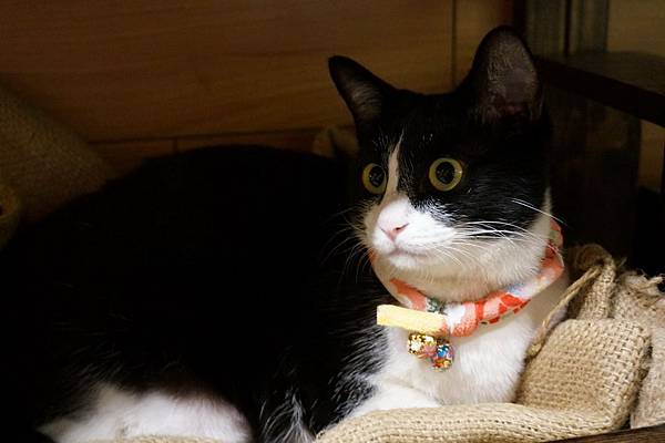 DSC09553.JPG DSC09553.JPG