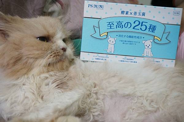 109.07.03 酵素益生菌 乳酸菌及綜合酵素膠囊_茉莉