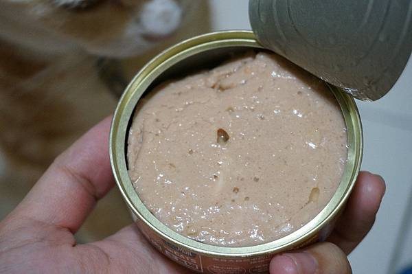 DSC07377.JPG DSC07377.JPG