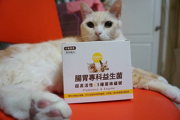 DSC09694.JPG DSC09694.JPG