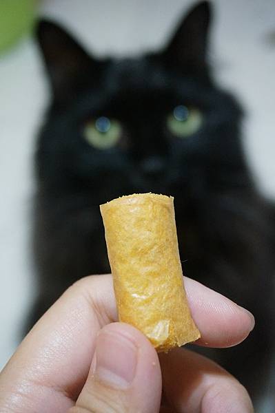 DSC06945.jpg DSC06945.jpg